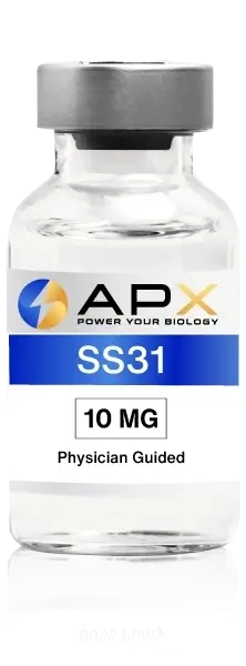 SS 31